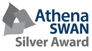 silver award